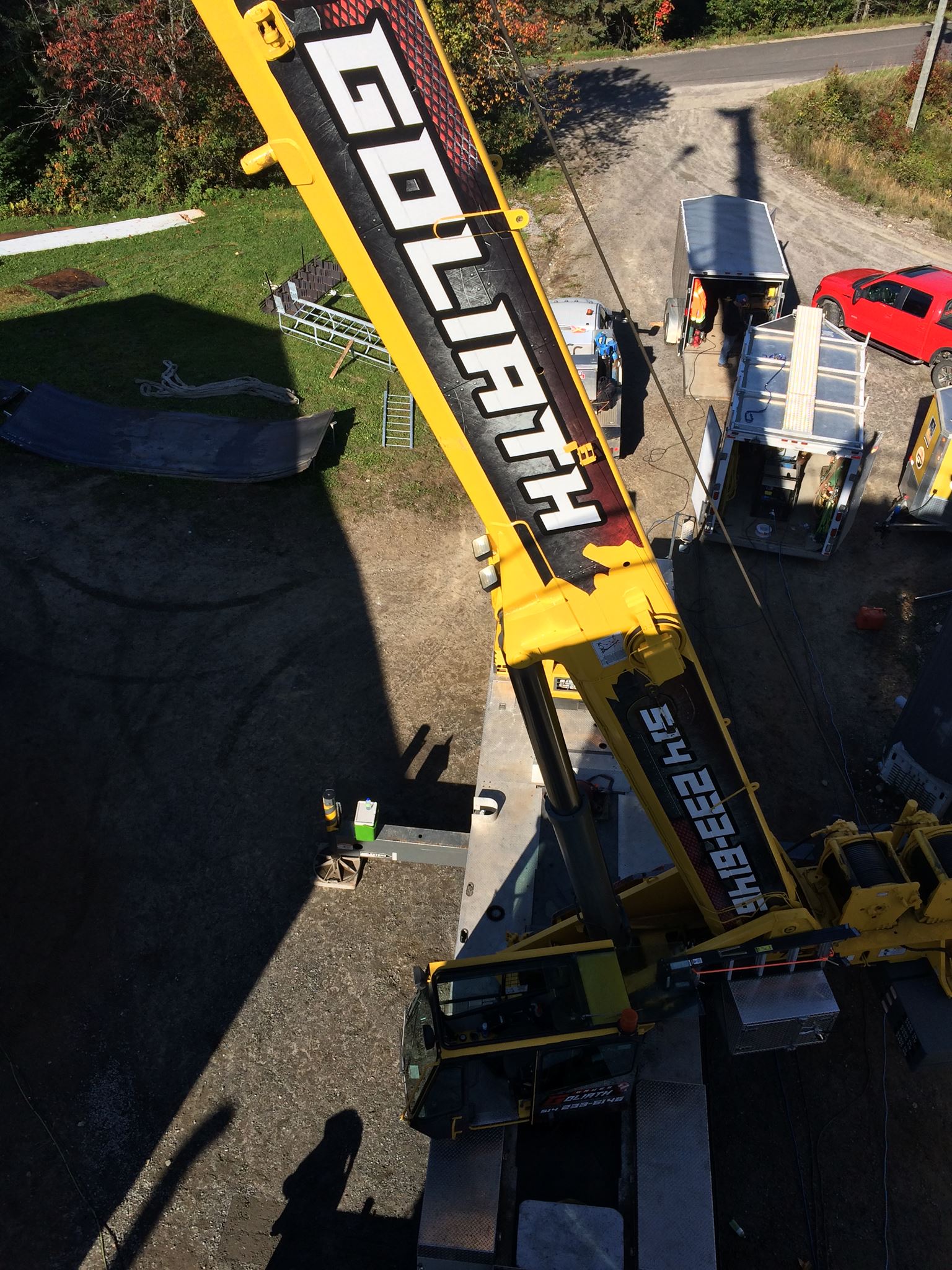 Grue jaune 