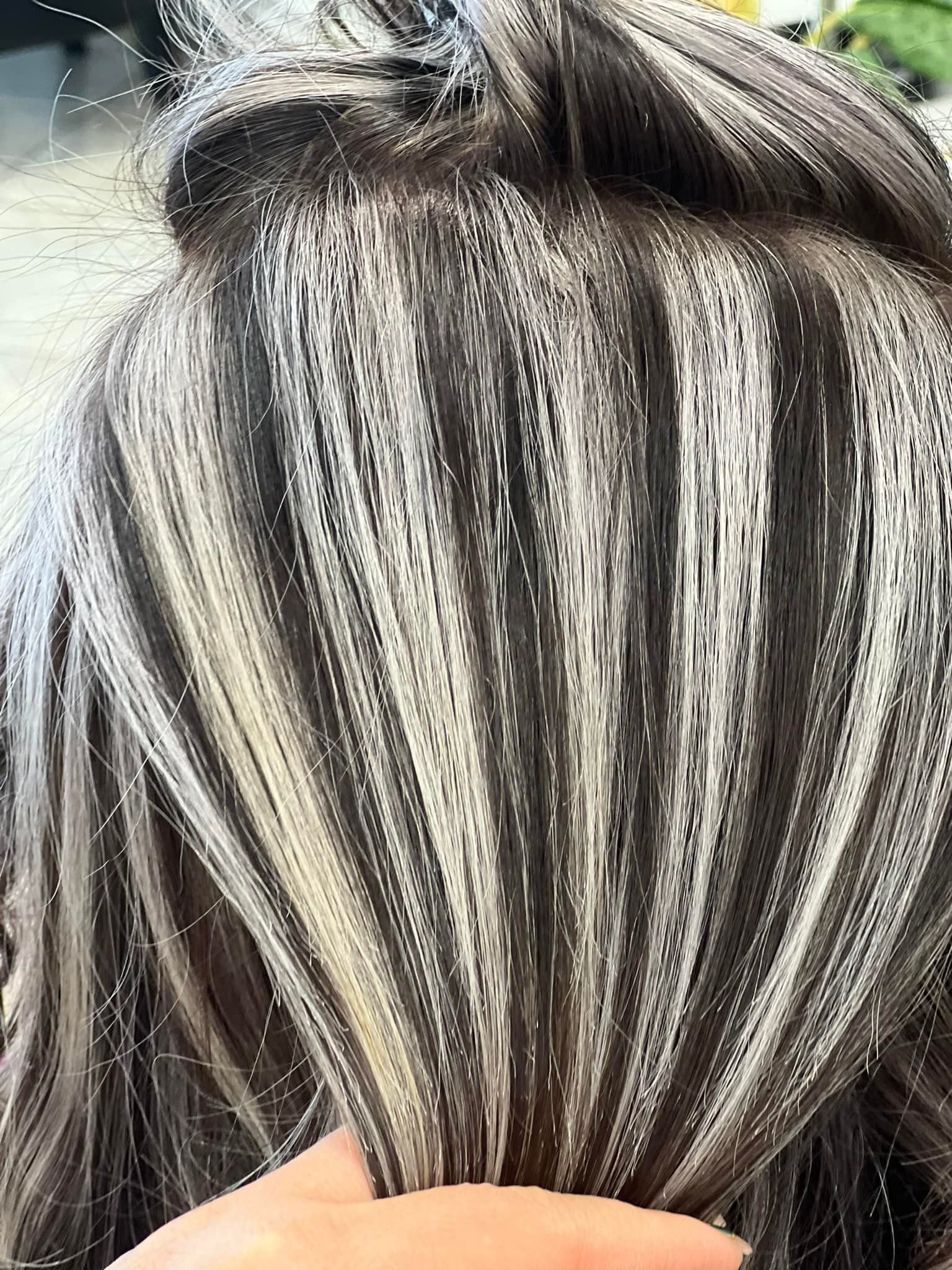 Close-up of textured gray and white hair highlights. Dark brown hair roots are visible.