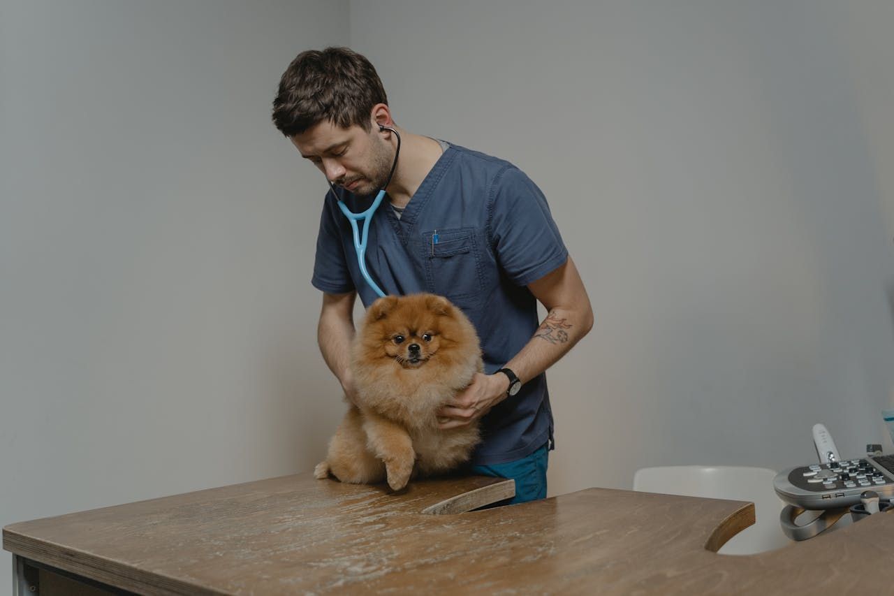 BanCal-Properties-veterinarian