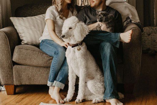 Allowing pets