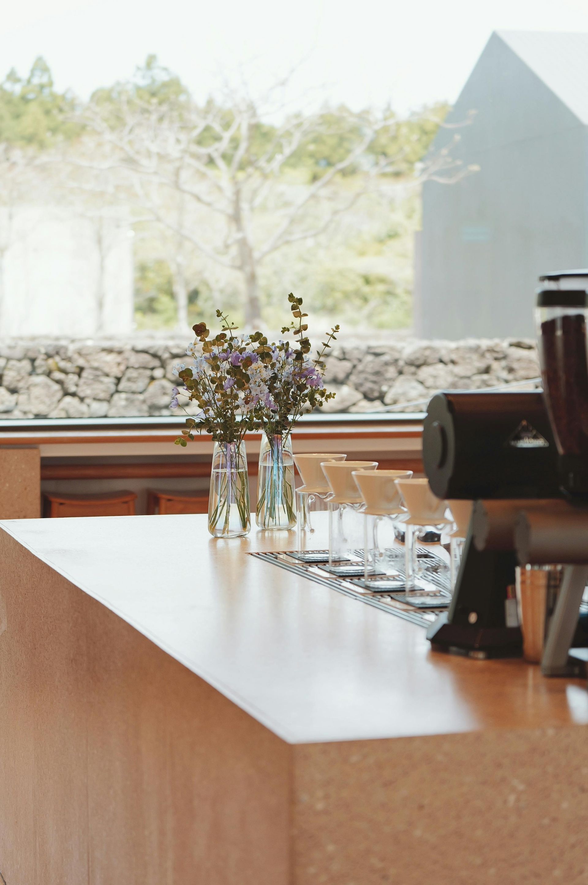 Modern bar counter with glasses and flowers, overlooking a bright outdoor view