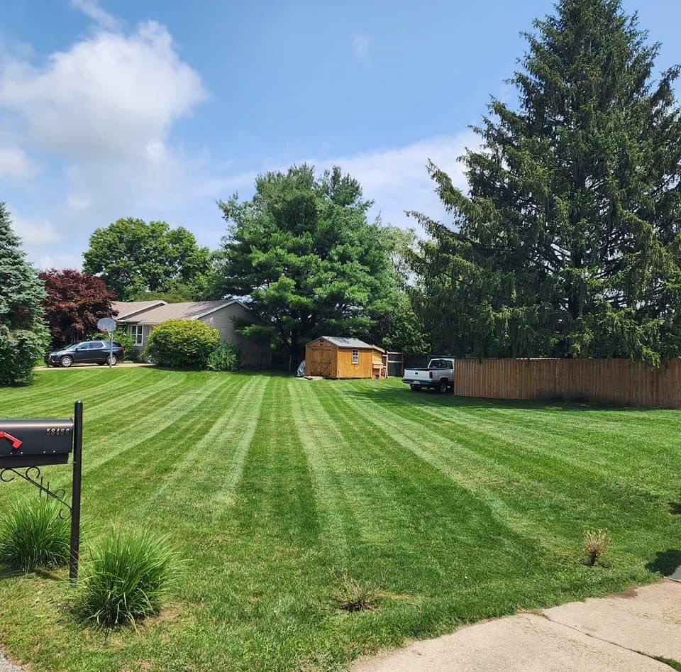 Freshly mowed suburban lawn with striped grass, trees, a wooden shed, and parked vehicles under a blue sky