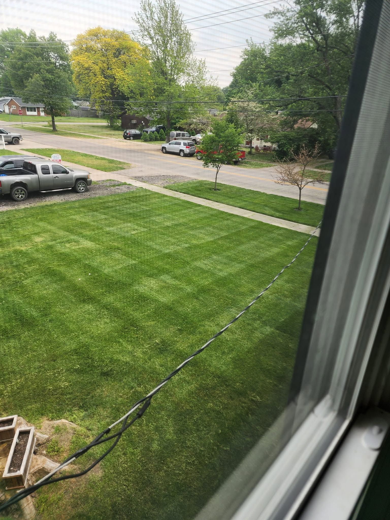 View from a window of a green front lawn with parked cars and leafy trees on a quiet suburban street.