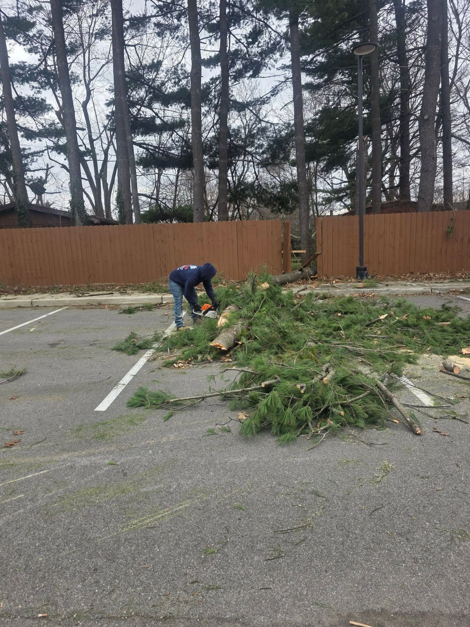 Person bending over a pile of tree branches in a parking lot beside a wooden fence.
