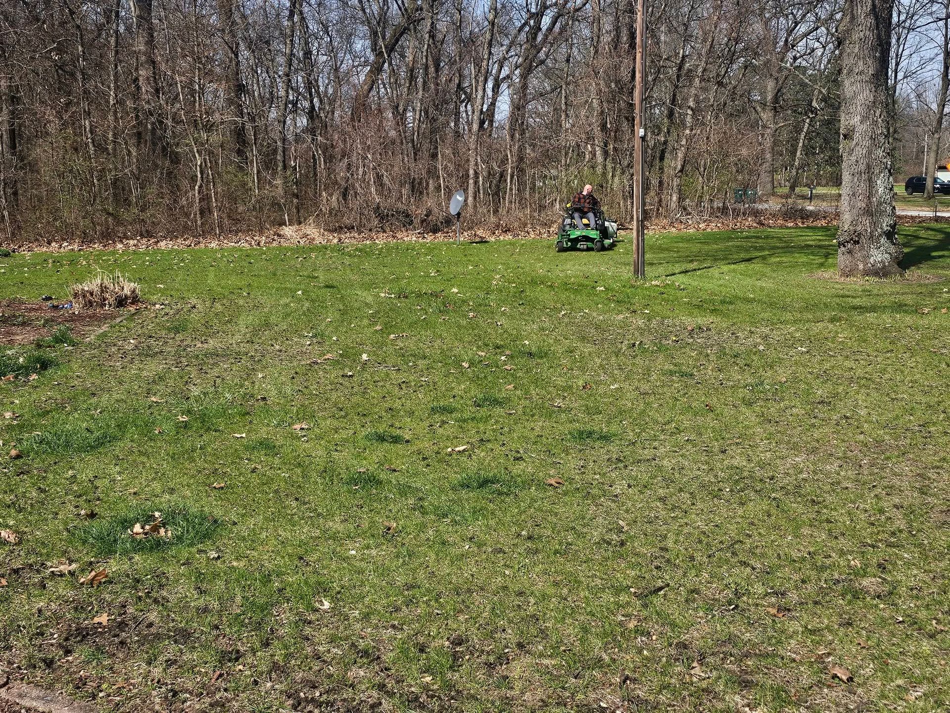 Small green tractor in a grassy yard near leafless trees on a sunny day