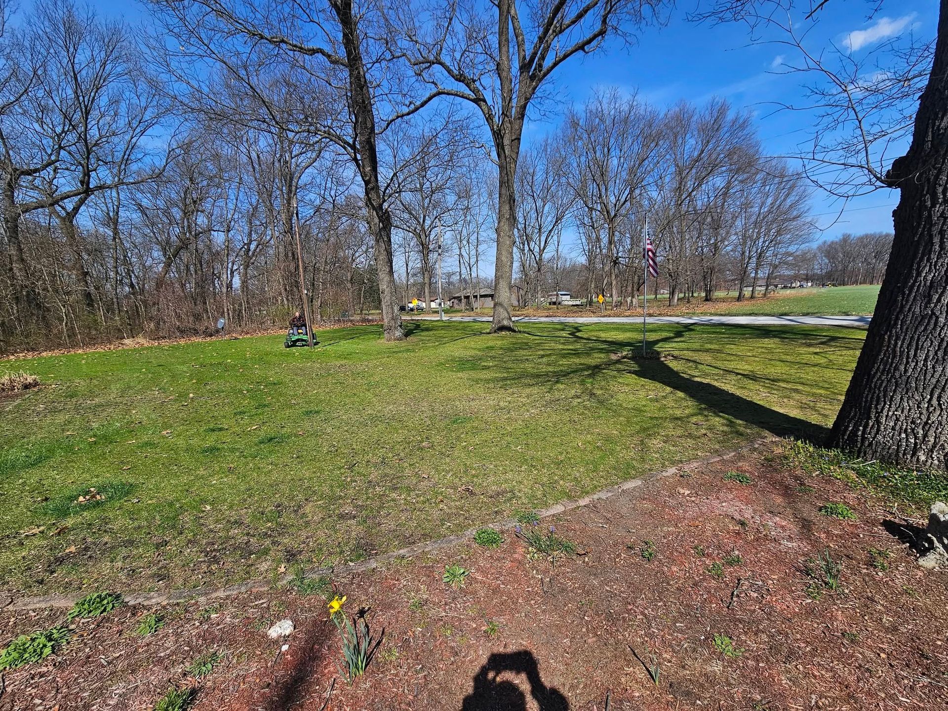Sunny park with bare trees, green grass, and a shadowed path under a blue sky