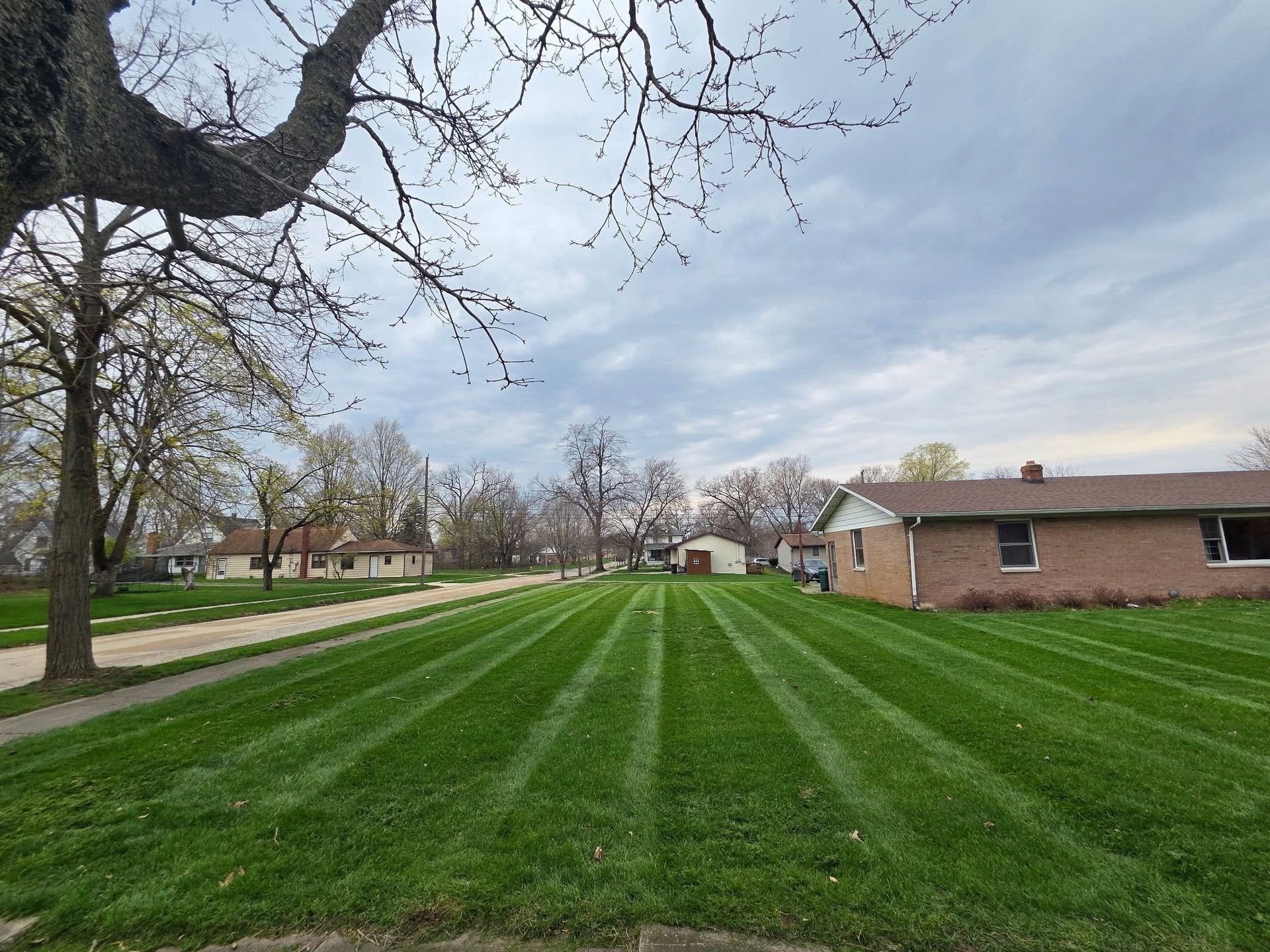 Suburban lawn with fresh green stripes, leafless trees, and houses under a cloudy sky