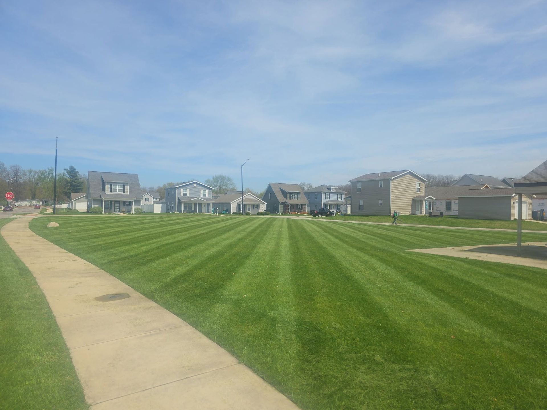 Suburban green field with striped grass, a sidewalk, and houses under a blue sky