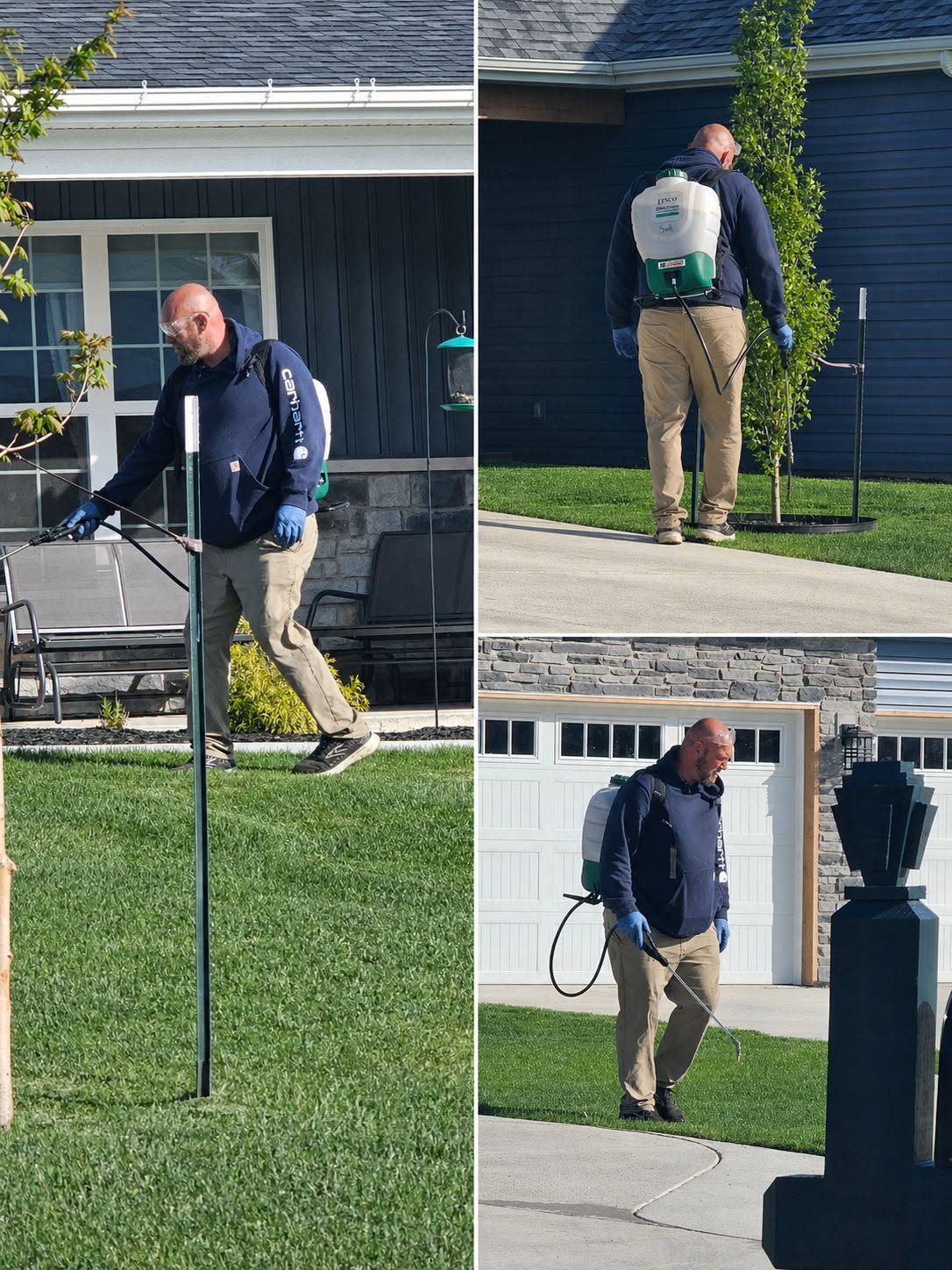 Person with backpack walking on a suburban lawn near a house, seen from three angles.