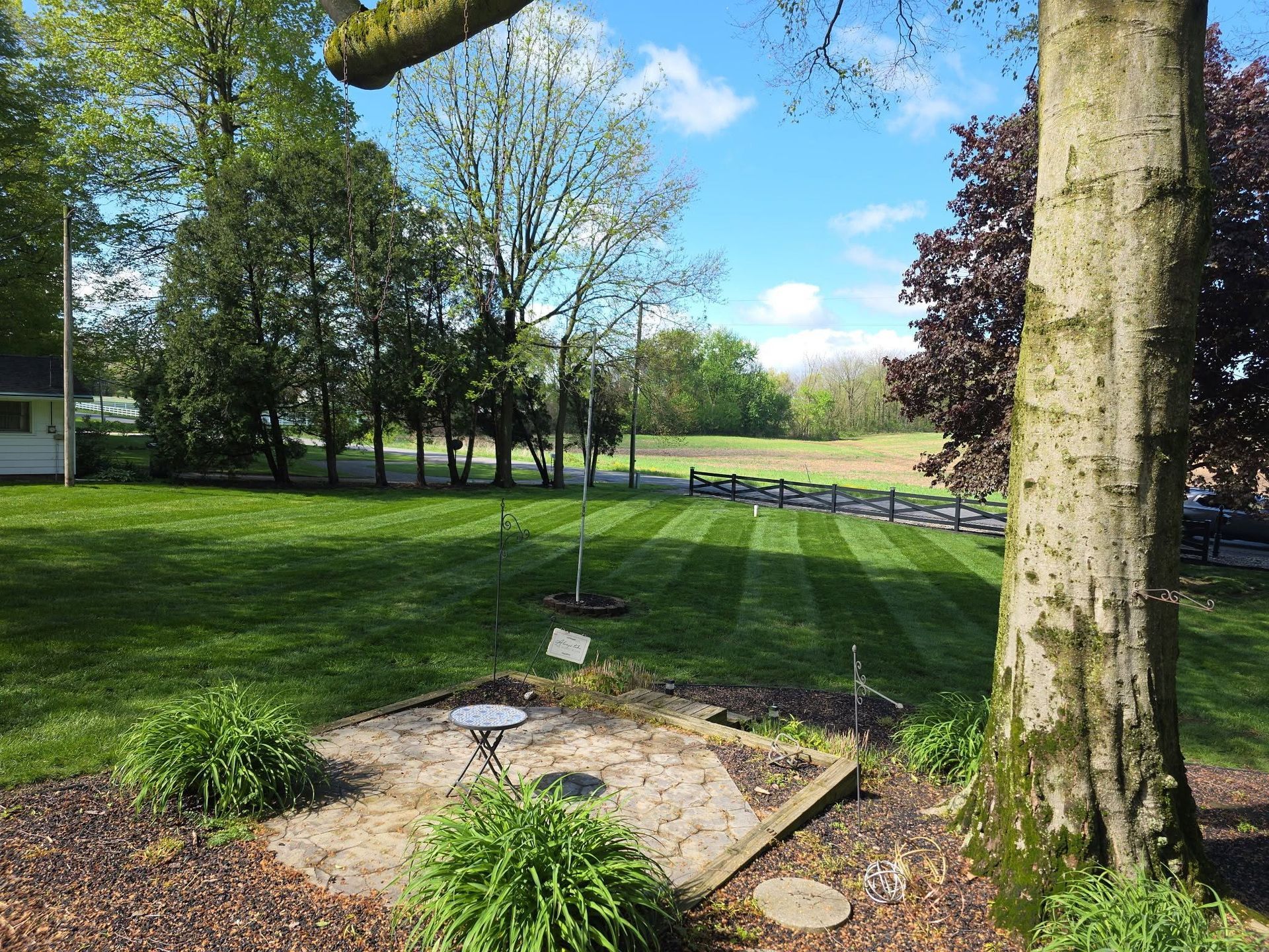 Small fenced garden bed with plants under a tree in a sunny park-like yard