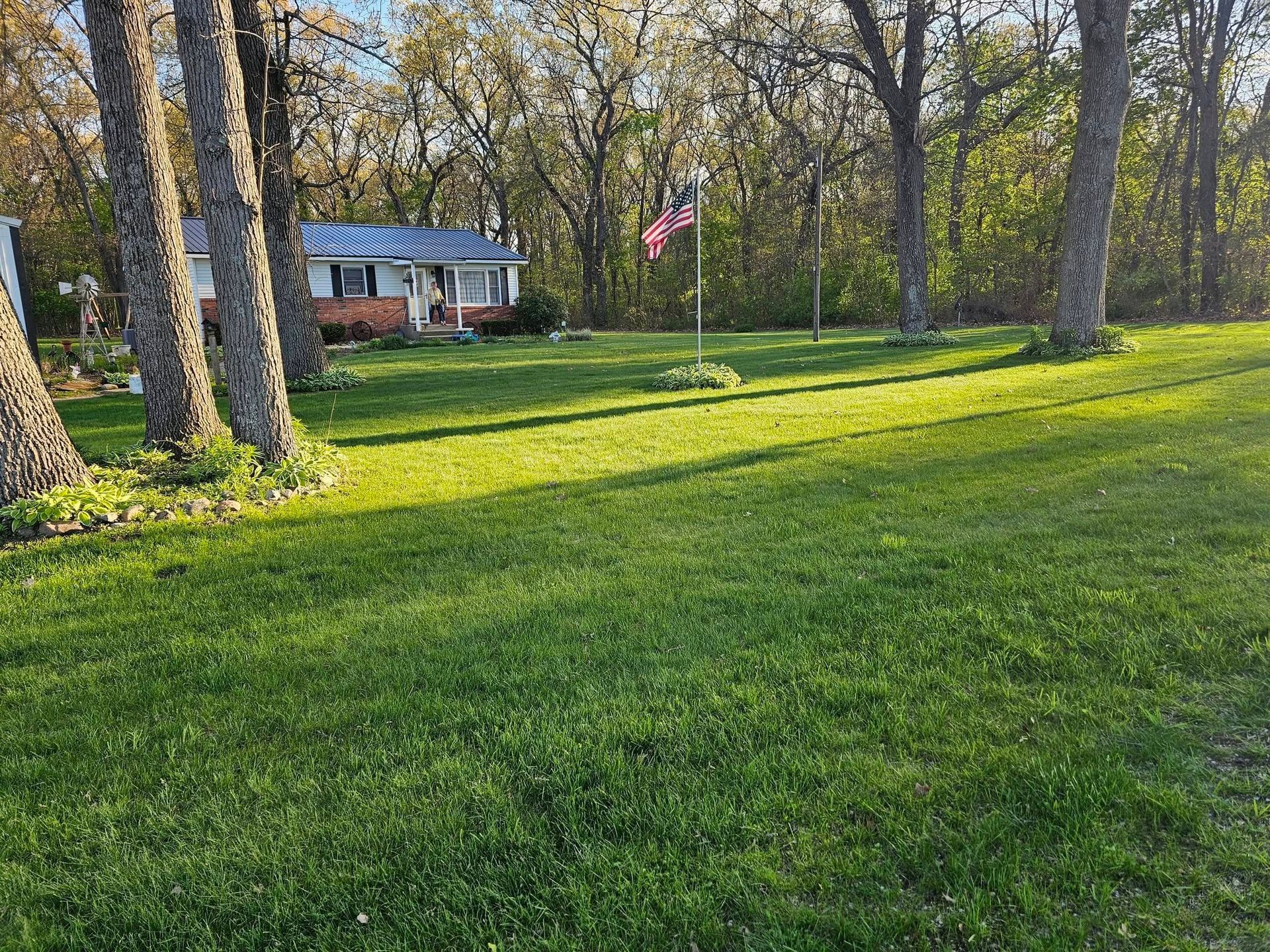 Grassy yard with trees, a house in the background, and an American flag in the sunlight.