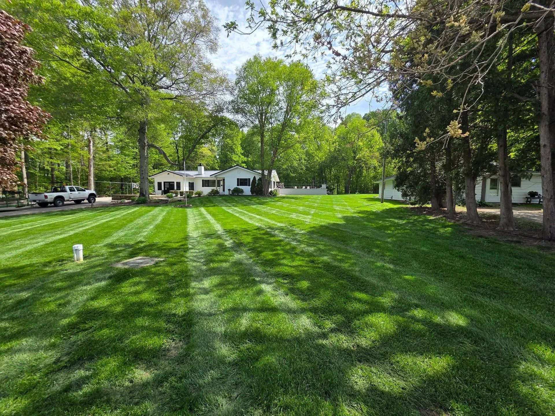 Lush green lawn with mowed stripes in a sunny yard, backed by trees and a white house.