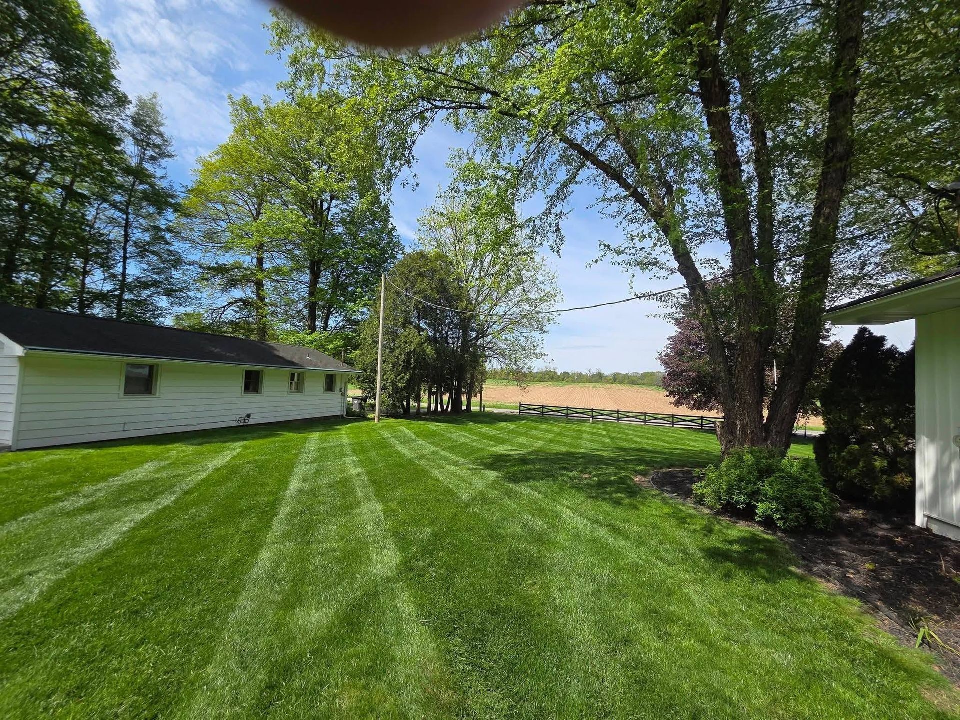 Backyard lawn with trees, white sheds, and a view of open fields beyond