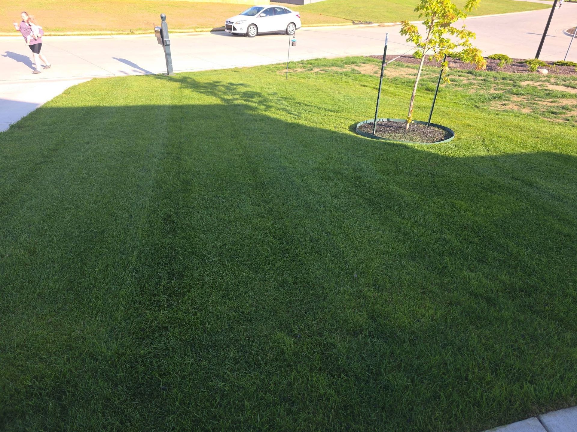 Sunlit front yard with lush green grass, two people near the driveway, and a small tree by the sidewalk.