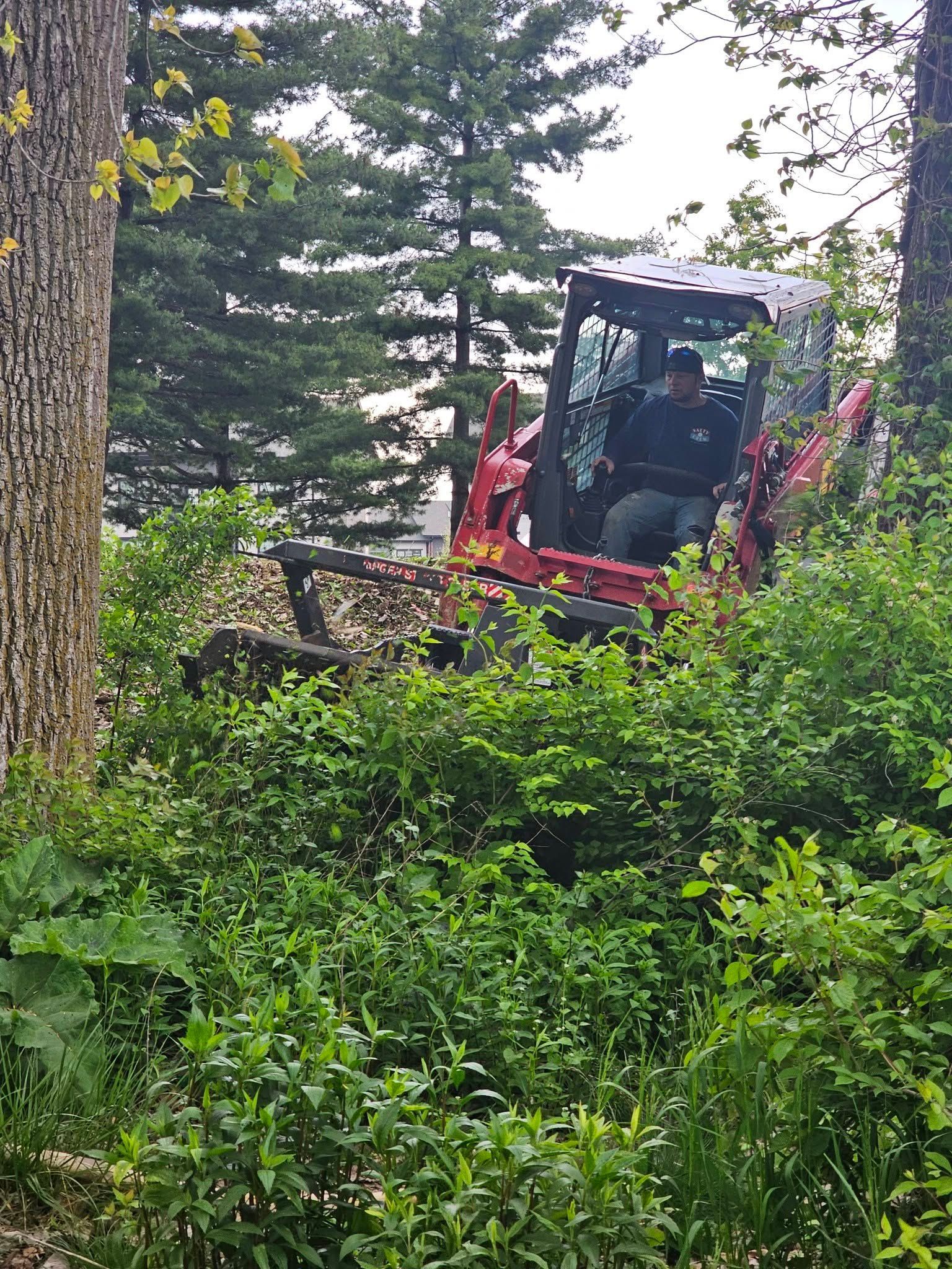 Red excavator behind dense green bushes in a wooded area