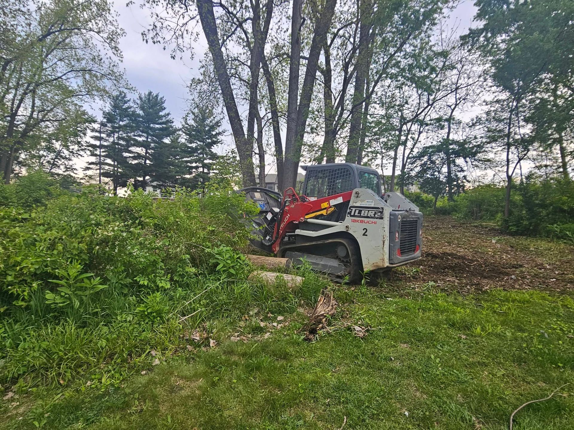 White skid-steer loader in a grassy, wooded area, clearing brush near trees.