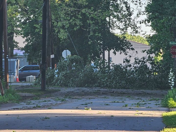 Tree fallen across a residential street, blocking the road near a stop sign.