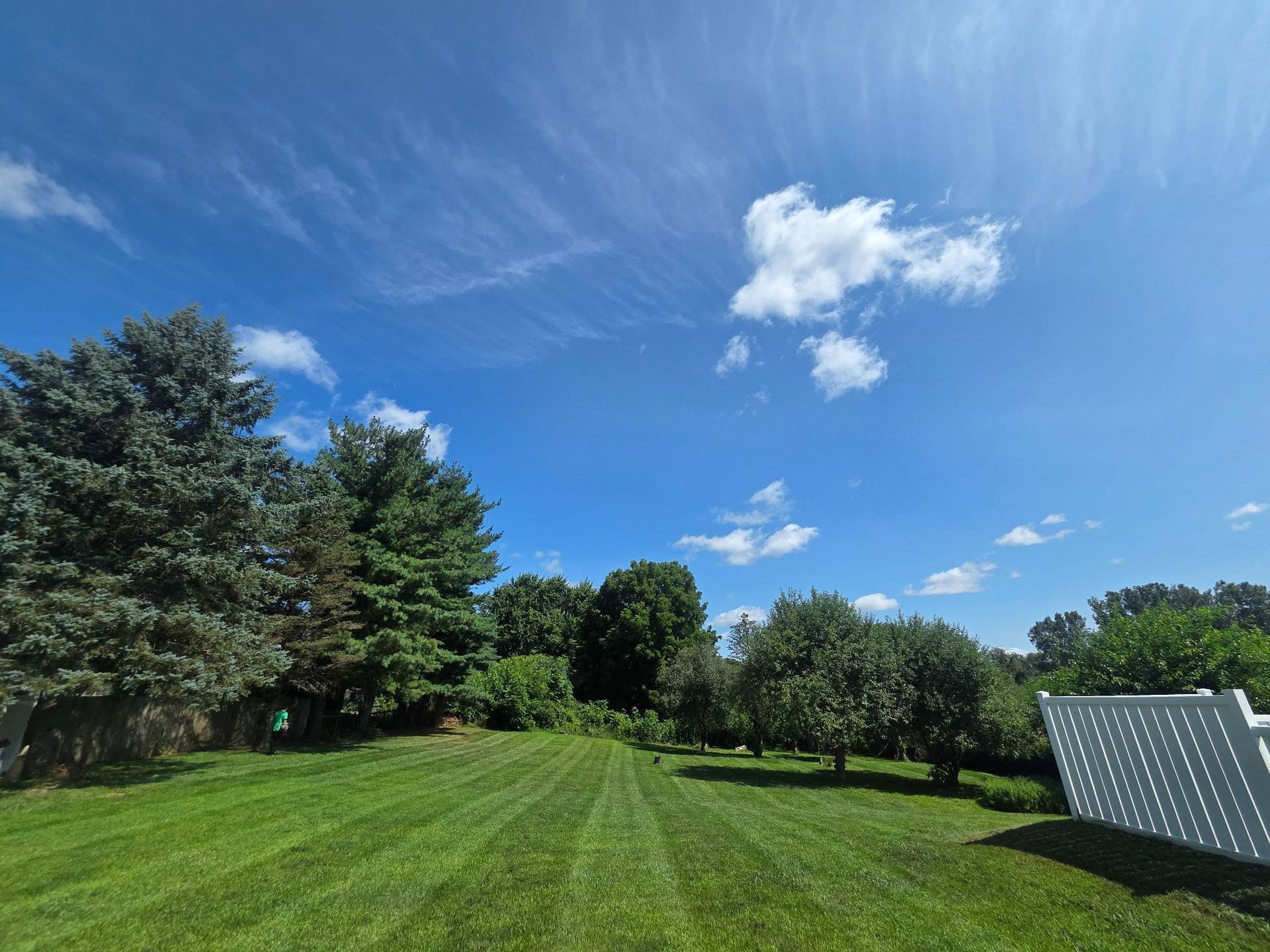 Sunny green lawn with trees under a blue sky, and a solar panel at the right edge.