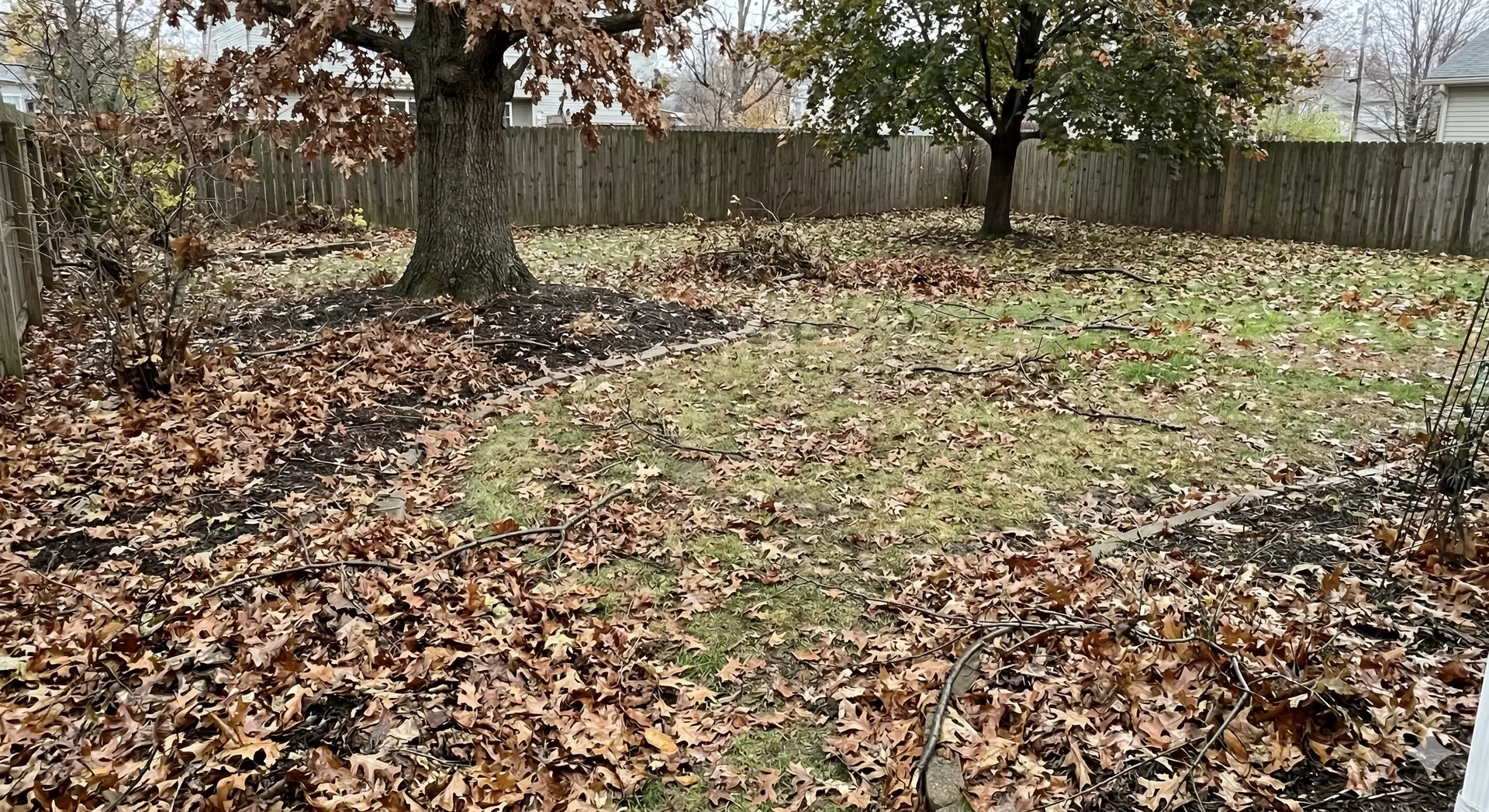 Leaf-covered backyard with a patch of grass and trees along a wooden fence