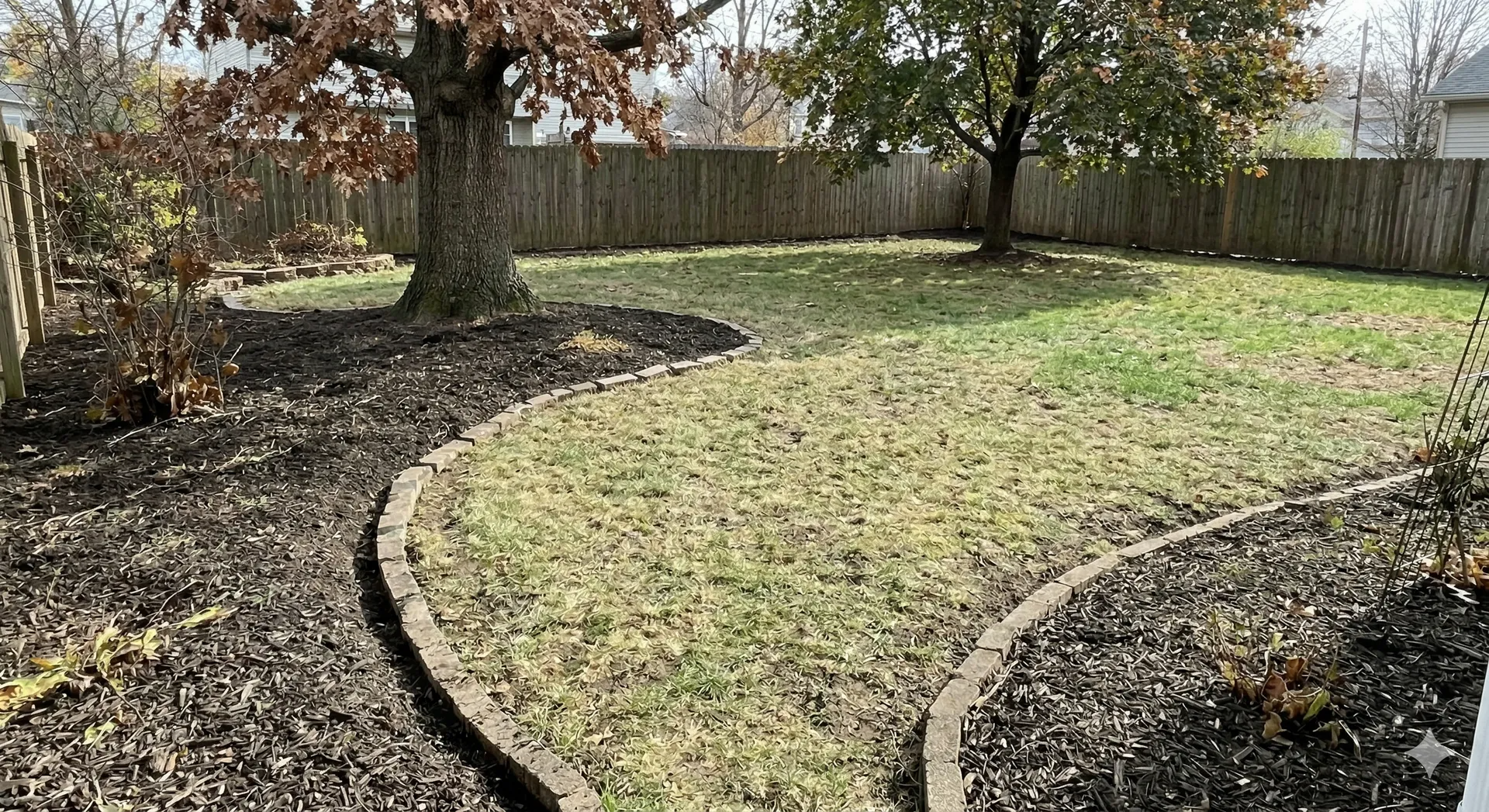 Curved grass path in a backyard, bordered by dark mulch, with trees and a wooden fence in fall.