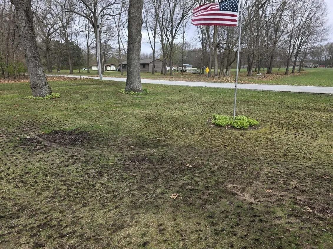 Front yard with bare trees and a U.S. flag on a pole near a road