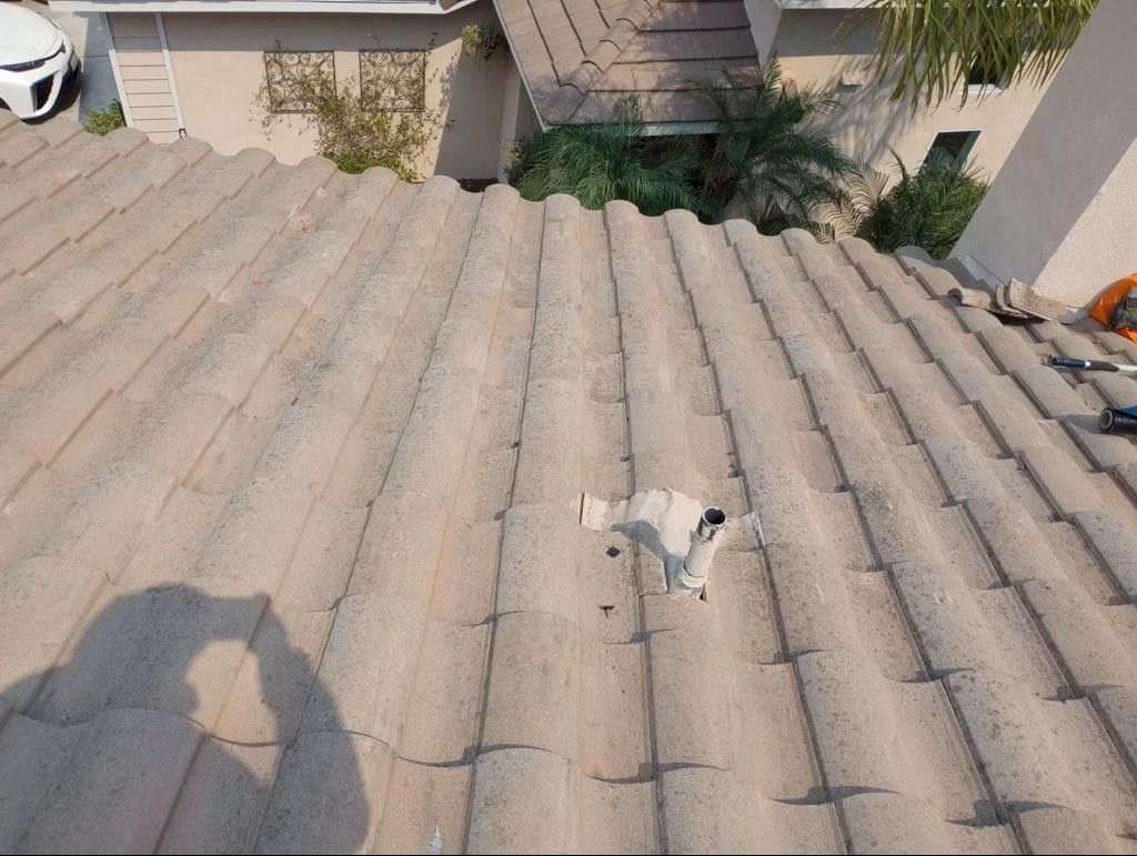 Small white cat on a corrugated rooftop, viewed from above, with a shadow in the foreground.