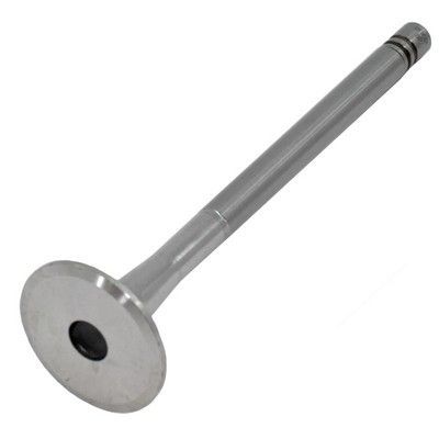 Válvula de motor metálica con cabeza circular y vástago cilíndrico.