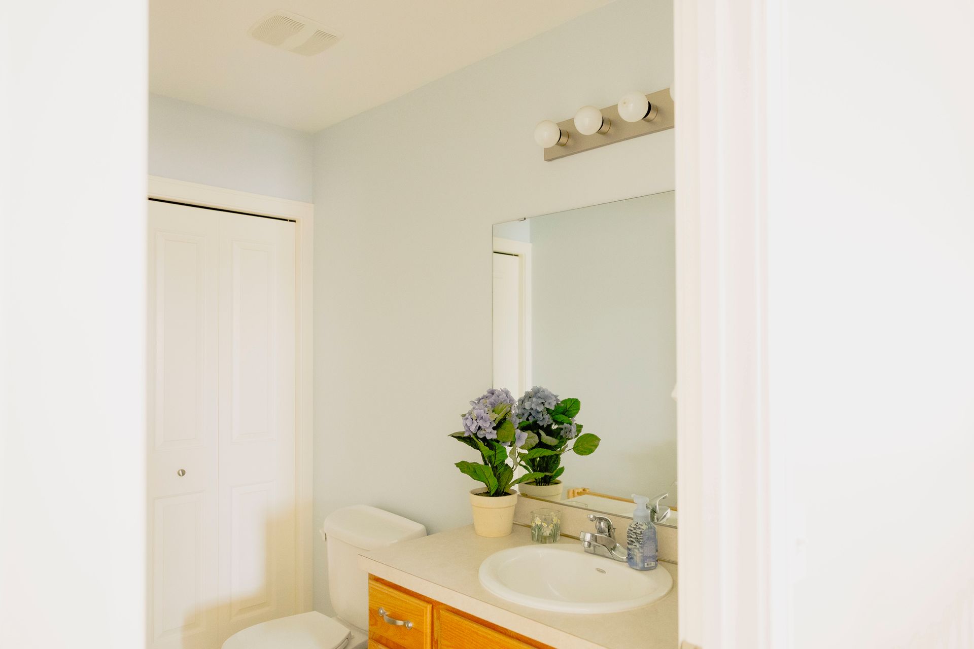 A light blue bathroom with a white vanity, a round sink, a mirror, and a small potted plant on the counter.