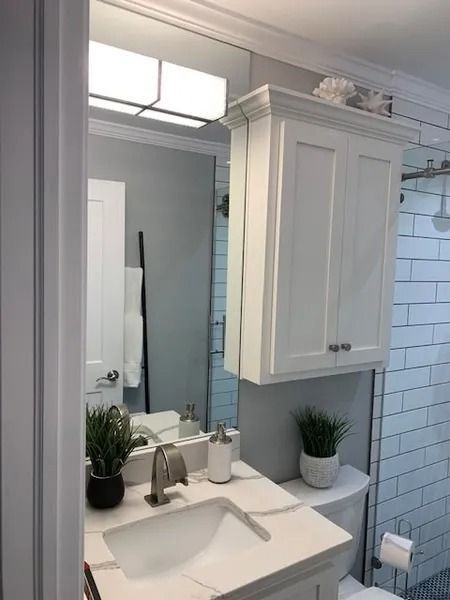 Small white bathroom vanity with mirror, sink, cabinet, and potted plants beside a tiled shower.