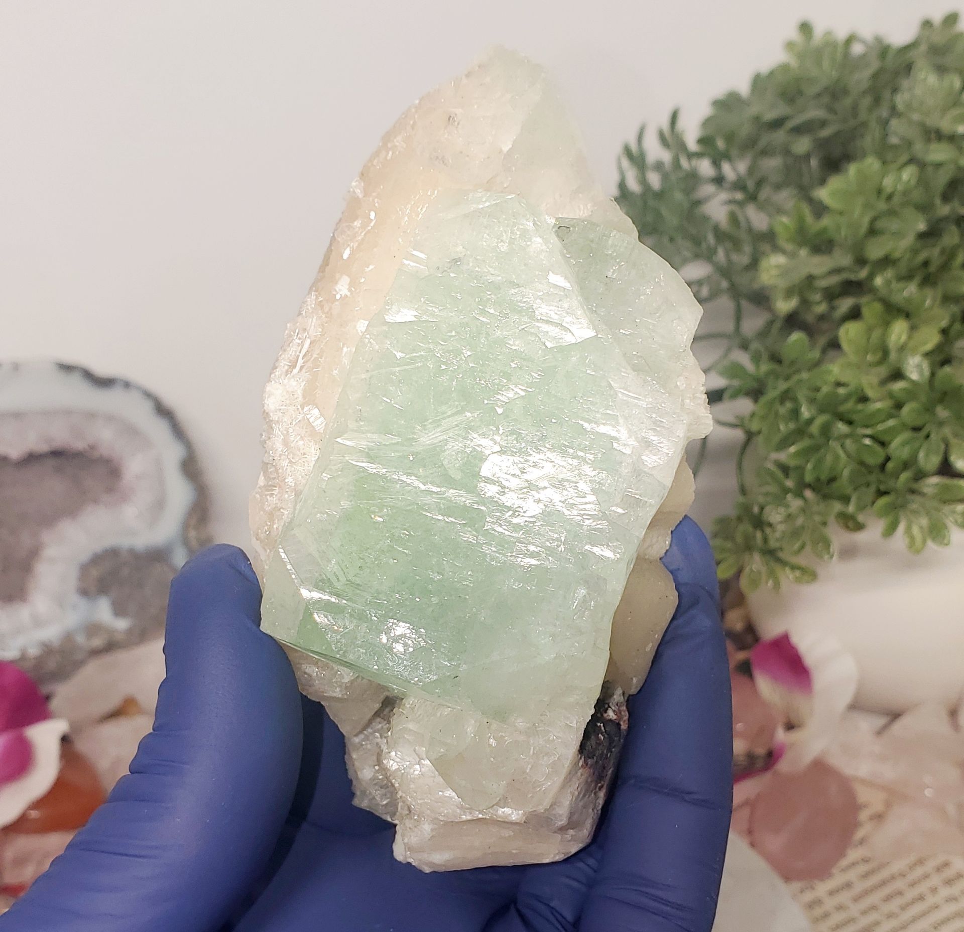 Green Apophyllite crystals with stilbite (Fluorapophyllite-(K)