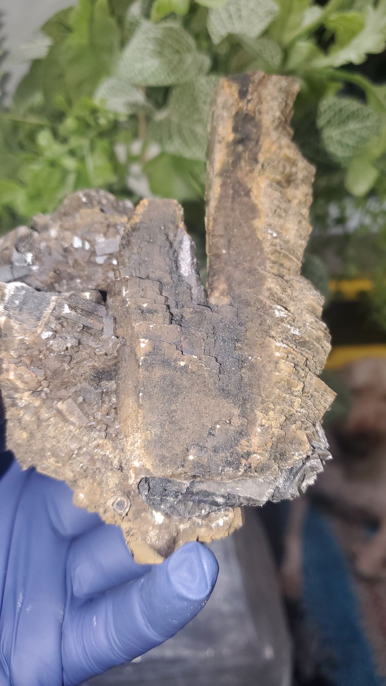 Dragon Bone Calcite 1lb. 3.8oz (560g), Fujian