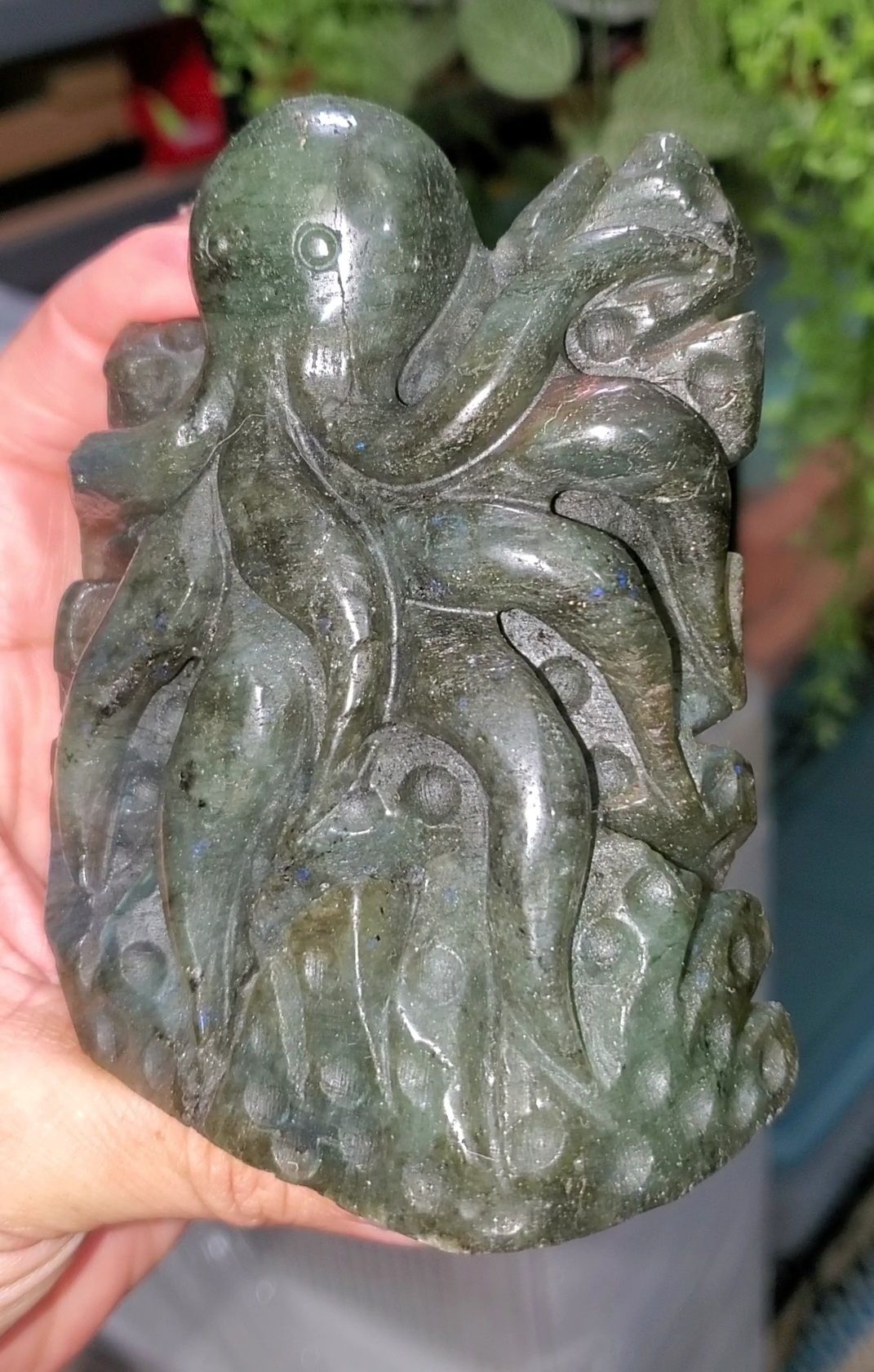 Labradorite Octopus Crystal Carving 408g