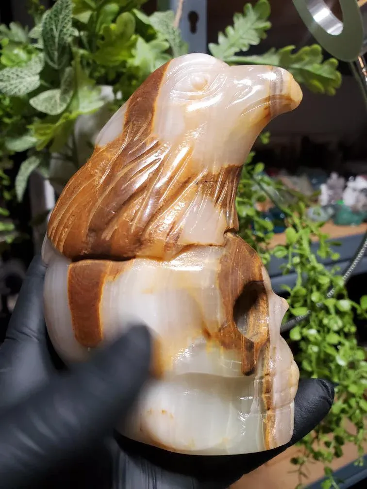 Afghanistan Jade Skull with Eagle Head crystal stone carving 754g