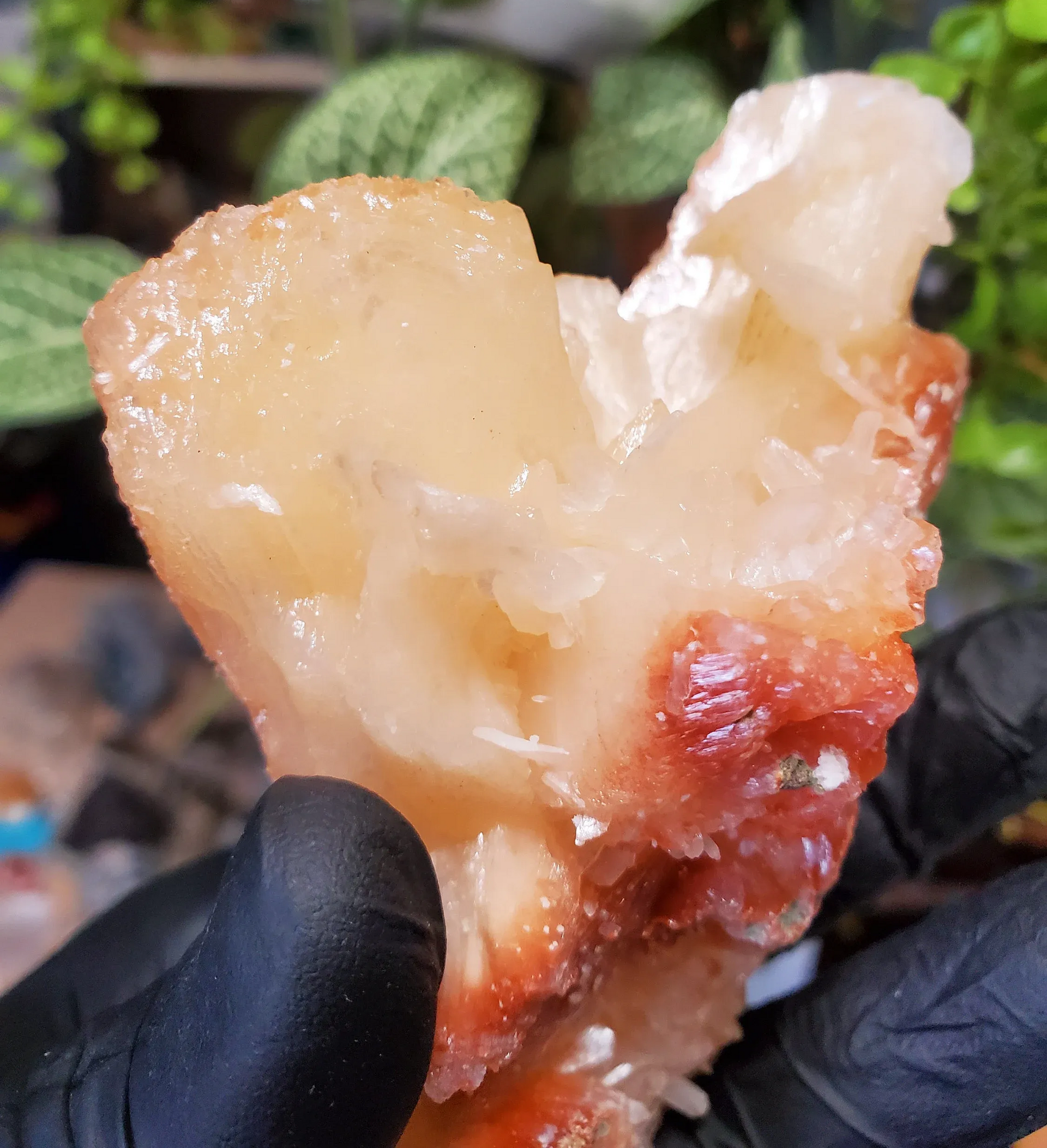 Peach Stilbite 172g India / Peach Stilbite Specimen unique cluster