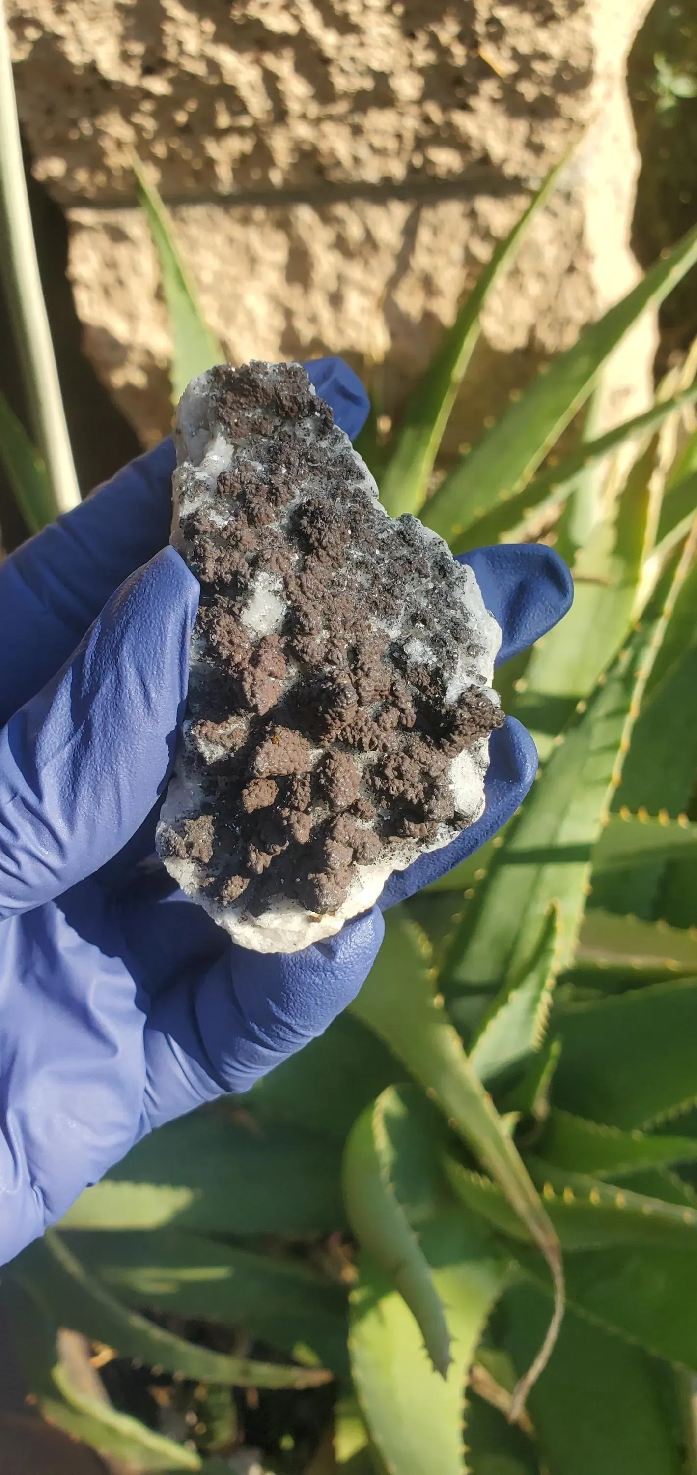Calcite cluster, specimen unique brown calcite cluster 106g