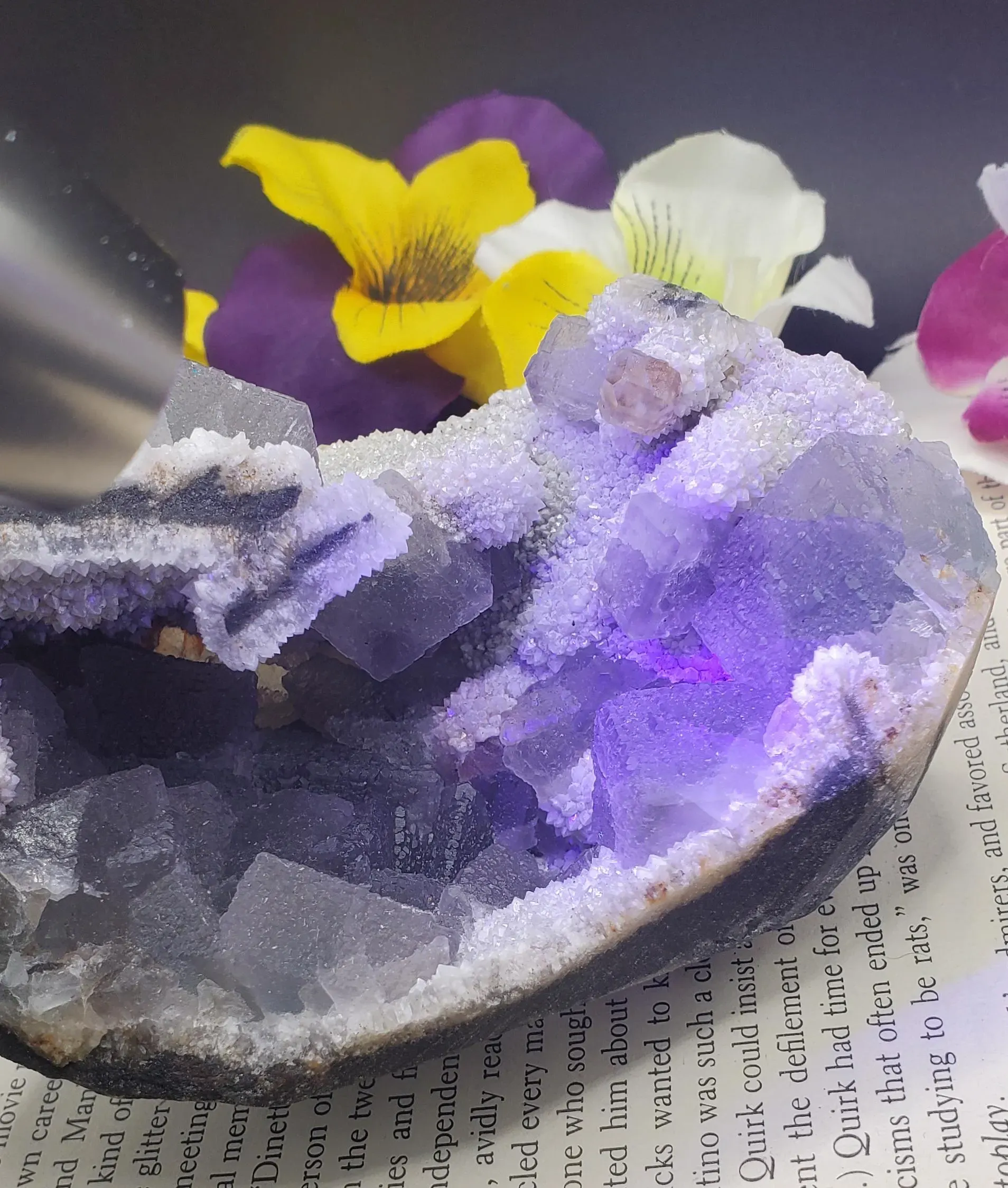 Morandi- fluorite from Inner Mongolia uv-reactive 536g (1lb 3oz)