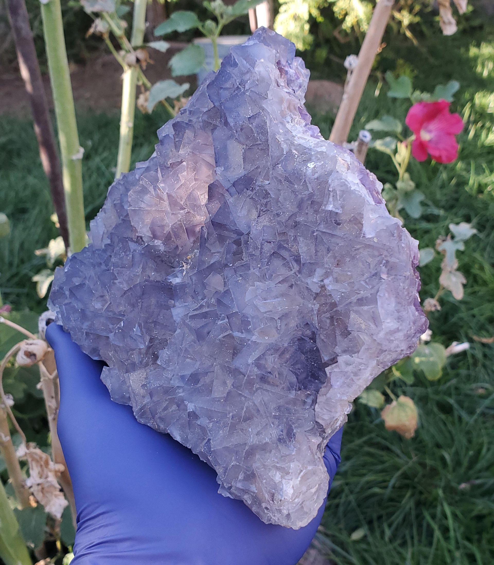 Raw Blue-Purple Fluorite Statement Peace 2kg 164g (4lb 12.4oz)