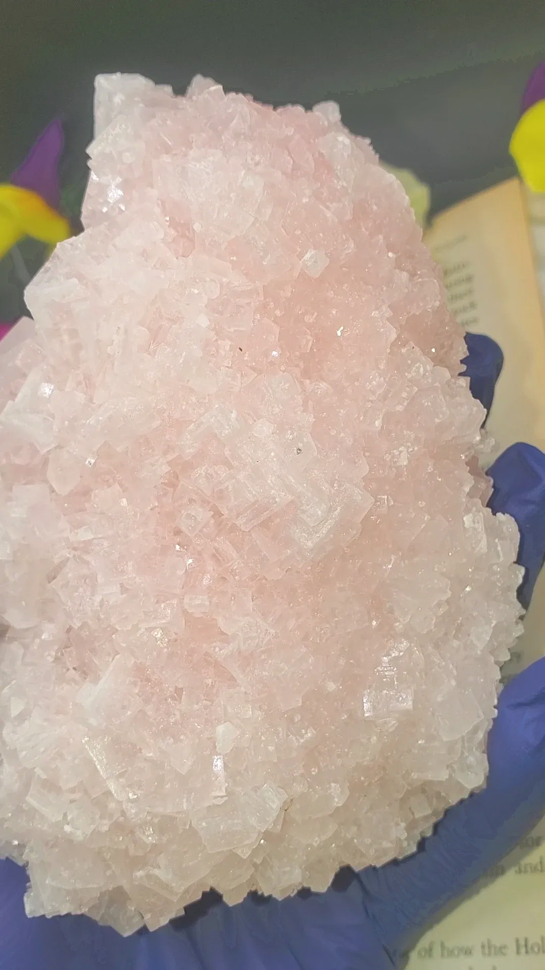 Pink Halite Crystal cluster from California (592g)