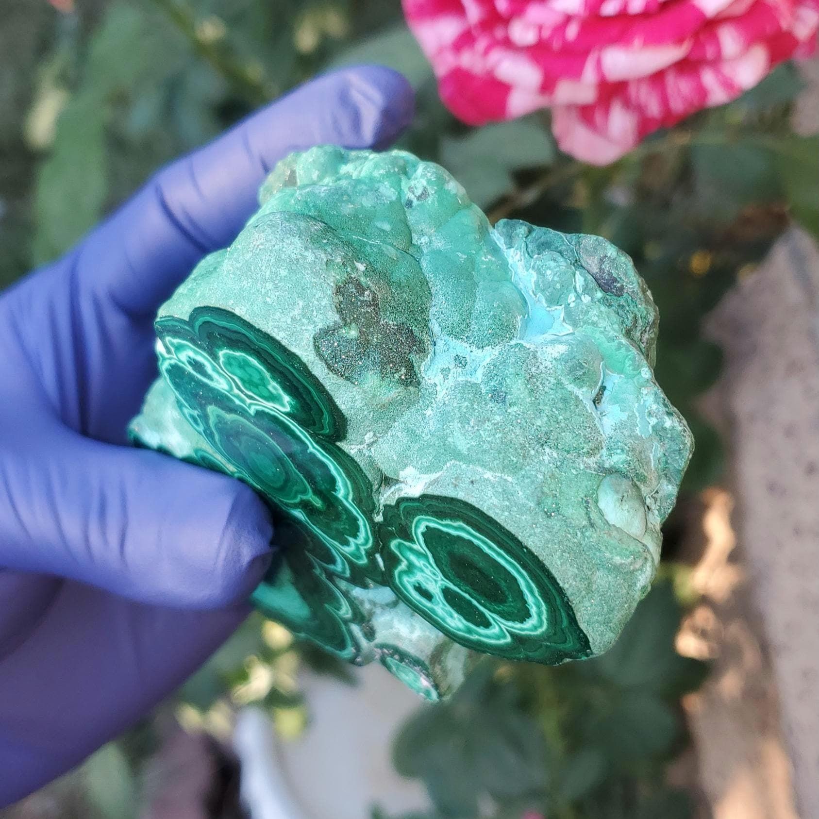 Chrysocolla Malachite free form chunk Congo 668g (1 Lb. 7.5oz)