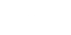 Sticks-n-Stones