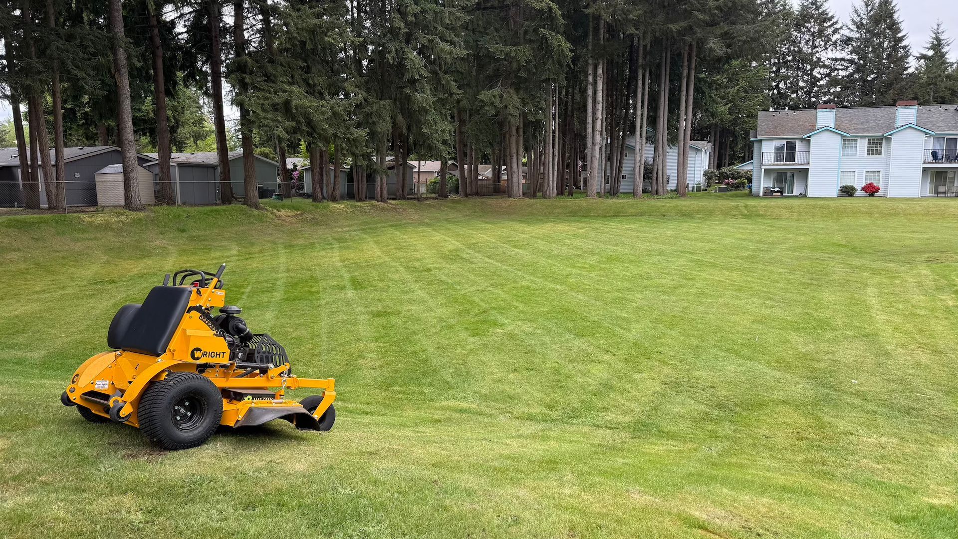 Yellow riding lawnmower mowing a large grassy area near trees and apartments.