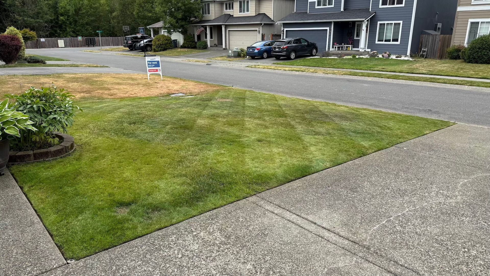 Green and yellow lawn with a for sale sign in front of houses on a residential street.