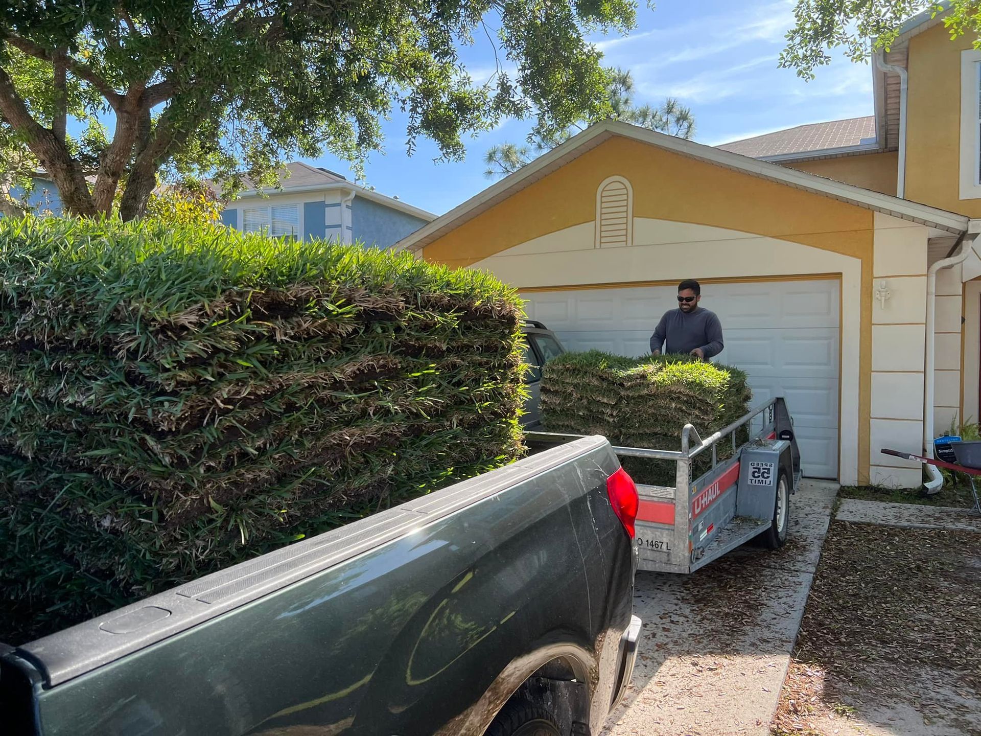 A truck with a trailer loaded with trimmed green bushes in front of a yellow house; a person is loading the trailer.