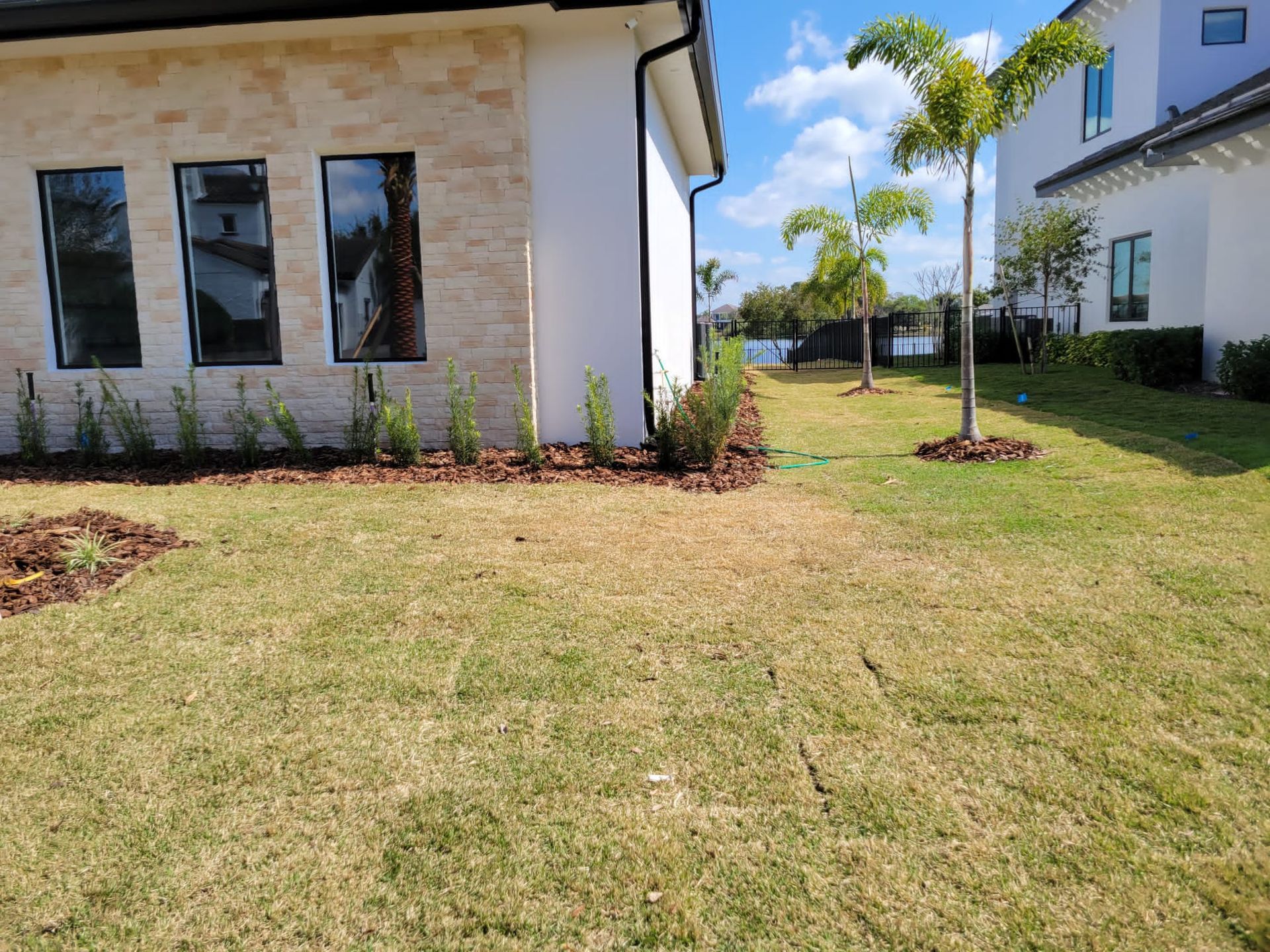 Lawn in front of a white building with windows, palm trees, and brown mulch in yard.