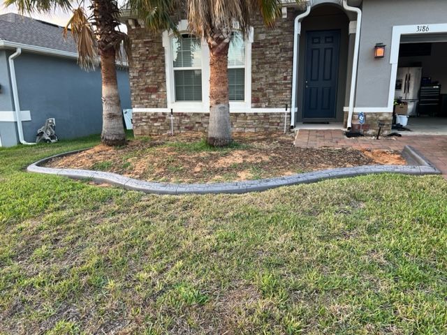 Front yard with gray concrete edging, mulch, palm trees, and a house with a stone facade and blue door.