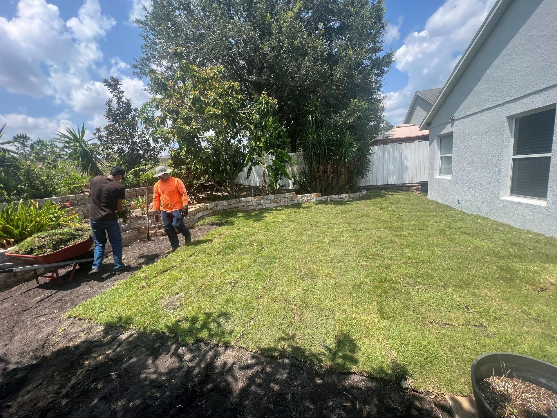 Two people working in a grassy backyard, one with a wheelbarrow, near a house and trees.