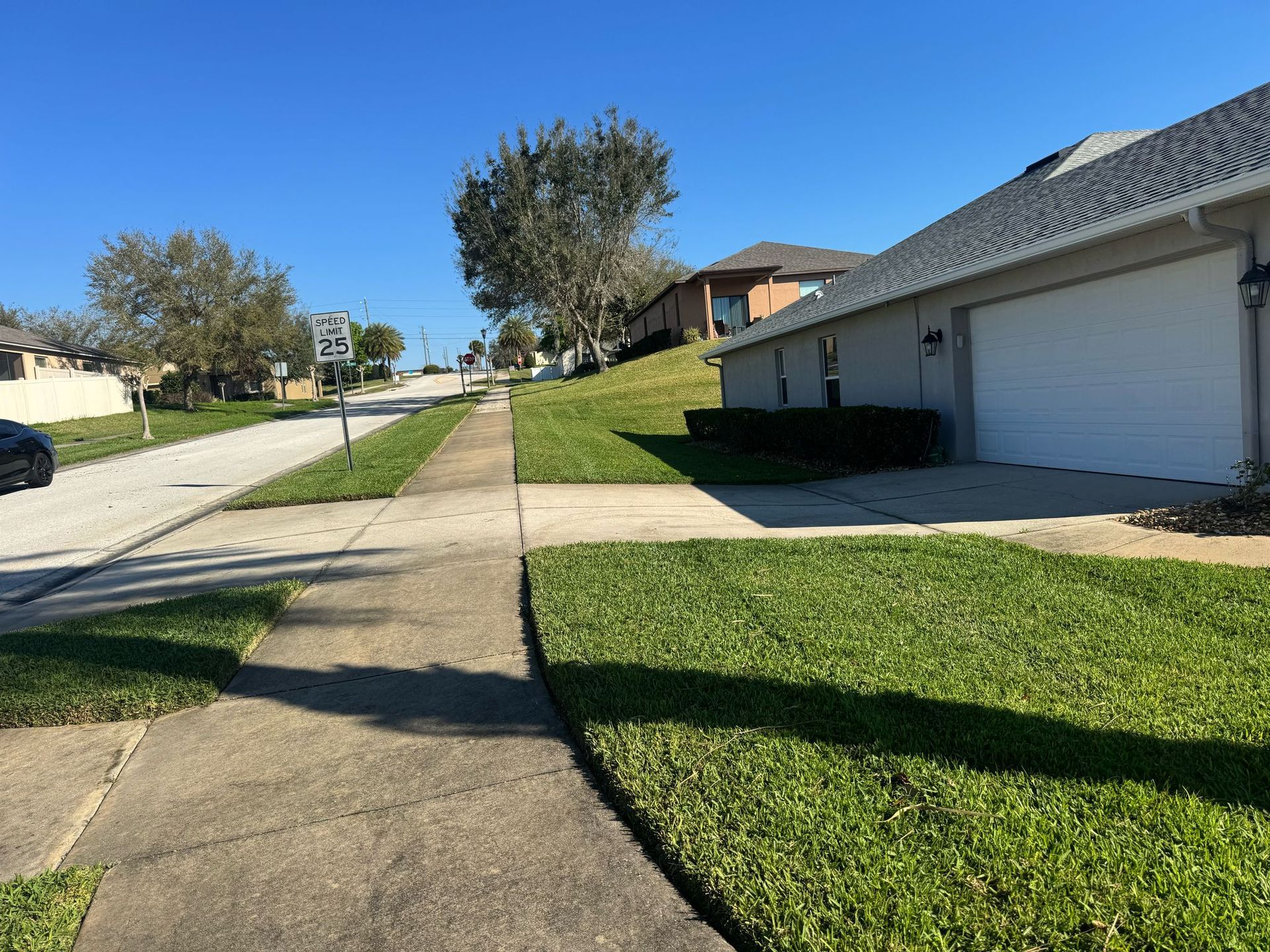Sidewalk and grassy lawn leading to residential houses on a sunny day.