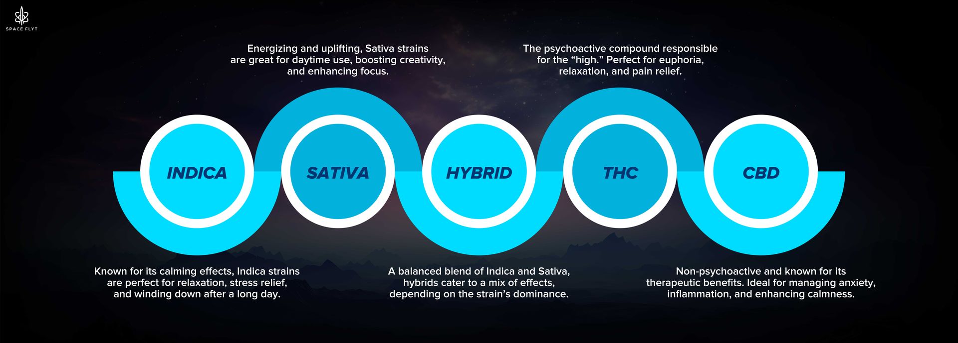 Spacflyt
INDICA
SATIVA
HYBRID
THC
CBD