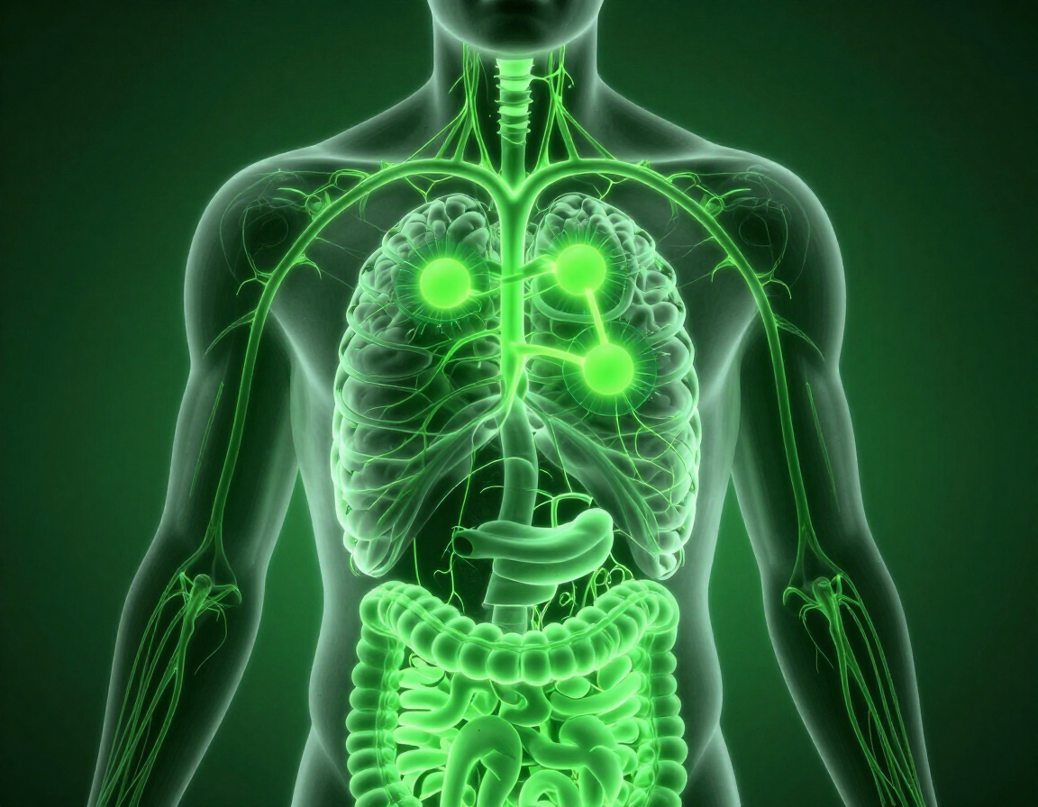 Visualización científica del metabolismo y el apetito