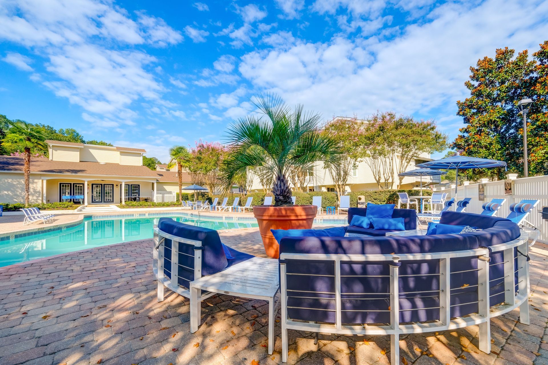 A bright outdoor swimming pool area with blue lounge seating, a central palm tree, and surrounding resort buildings.